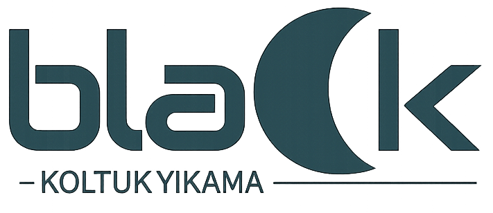 Black Koltuk Yıkama